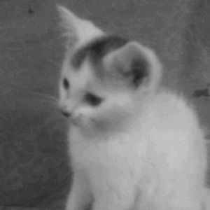 Meet your Posher, Alejandro